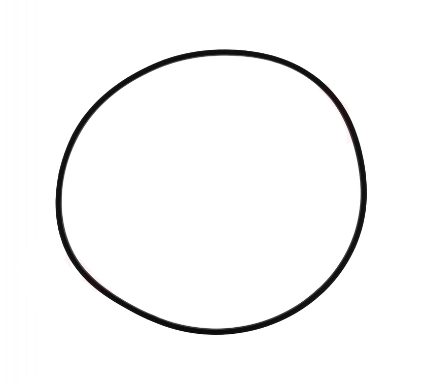 WP22003483 - Genuine OEM Whirlpool Washer Drive Belt